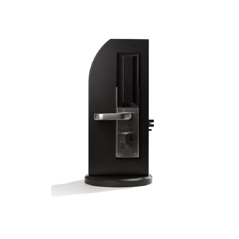 Electronic Locks category image