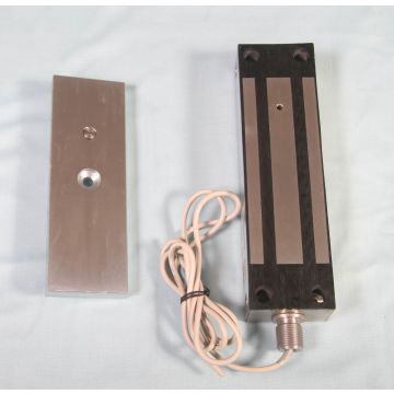 Ees500M Non-Monitored Gate Magnet